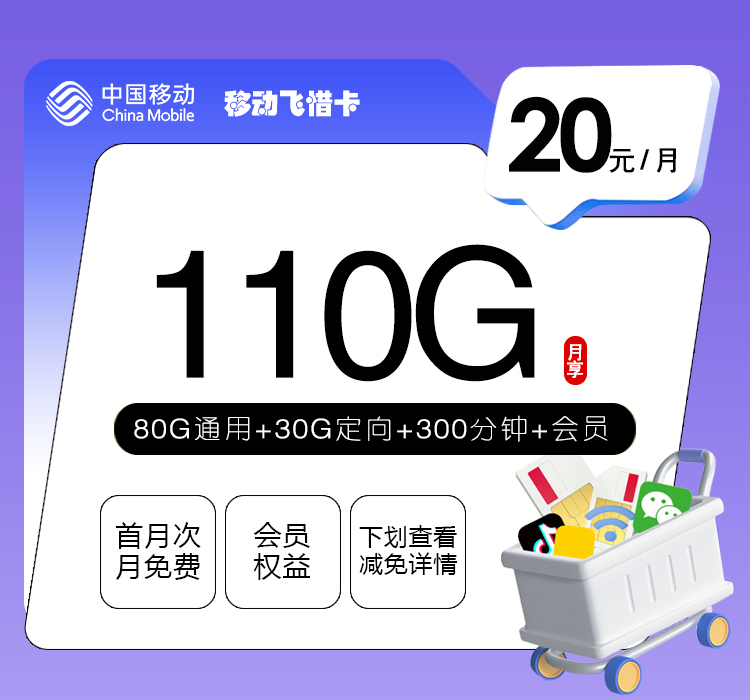 移动飞惜卡【20元110G+300分钟+会员】