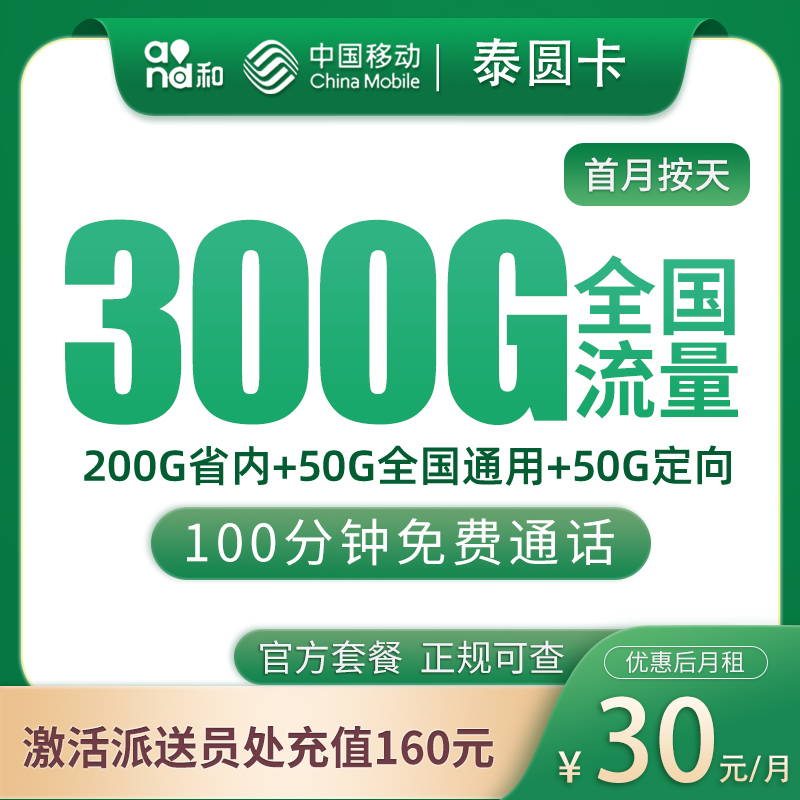 移动泰圆卡30元300G+100分钟【只发山东】