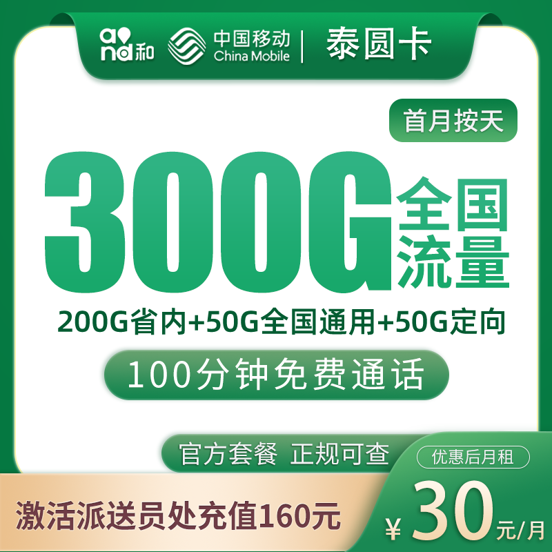 移动泰圆卡30元300G+100分钟【只发山东】