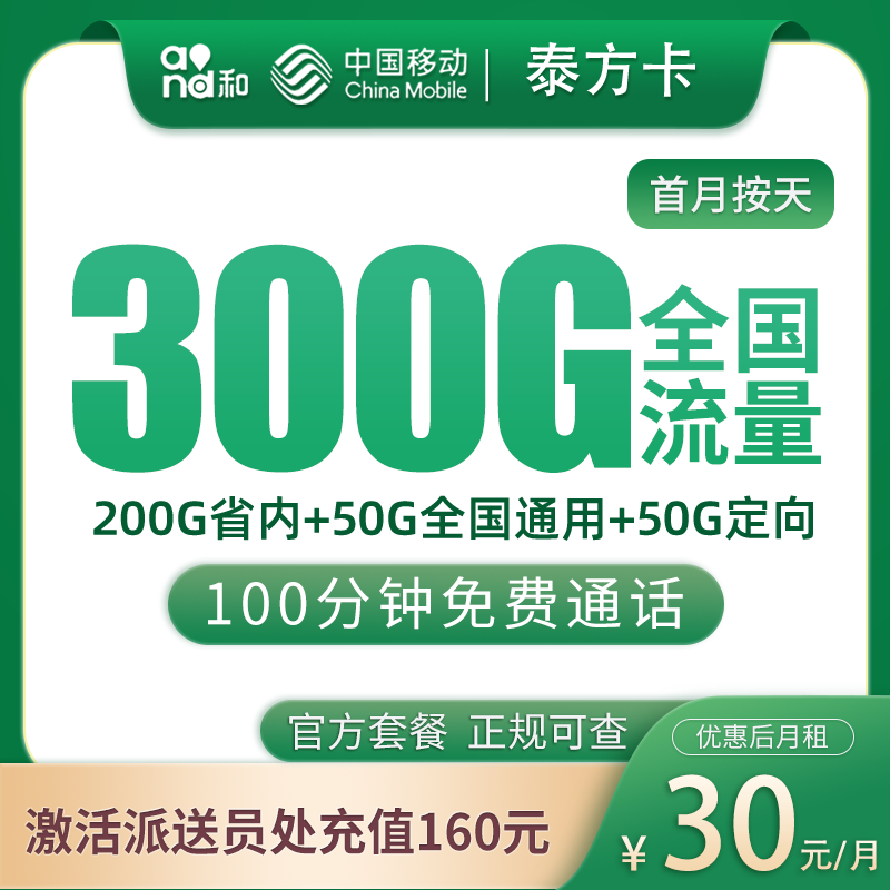 移动泰方卡30元300G+100分钟【只发山东】