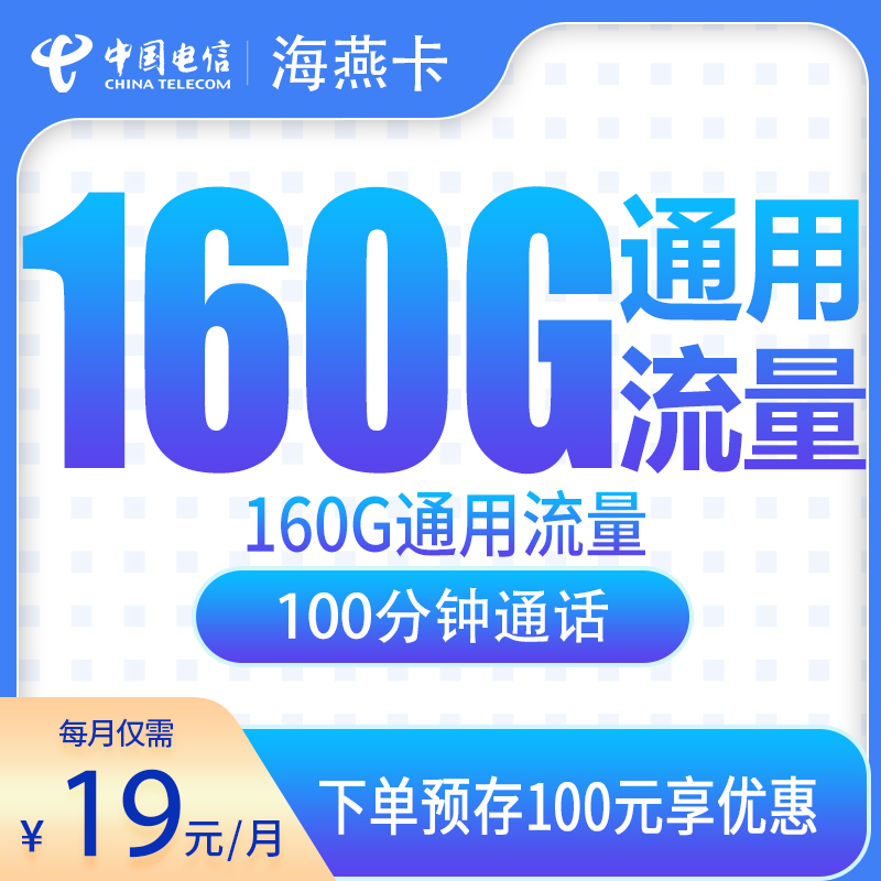 电信海燕卡19元160G+100分钟【只发安徽】