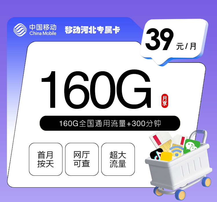 移动河北专属卡4.0【39元160G+300分钟】