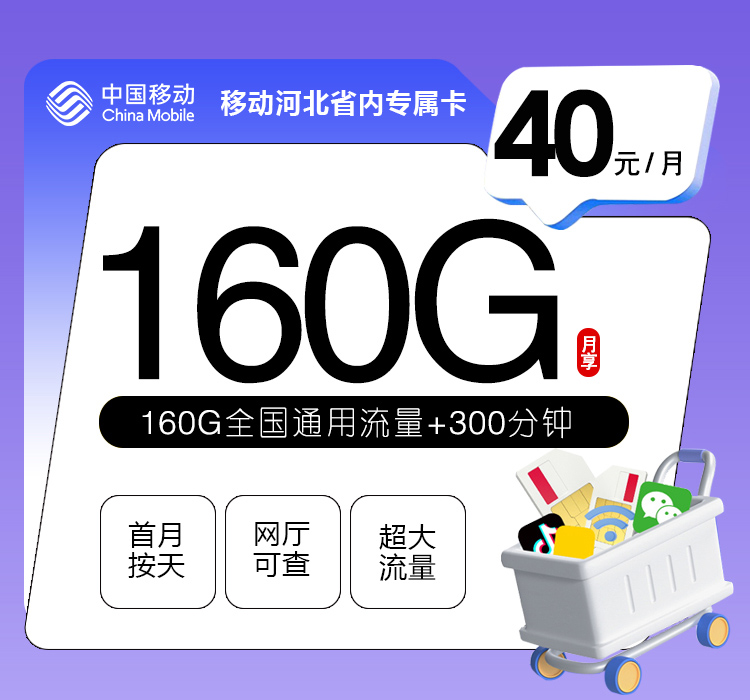 移动河北省内专属卡【40元160G+300分钟】