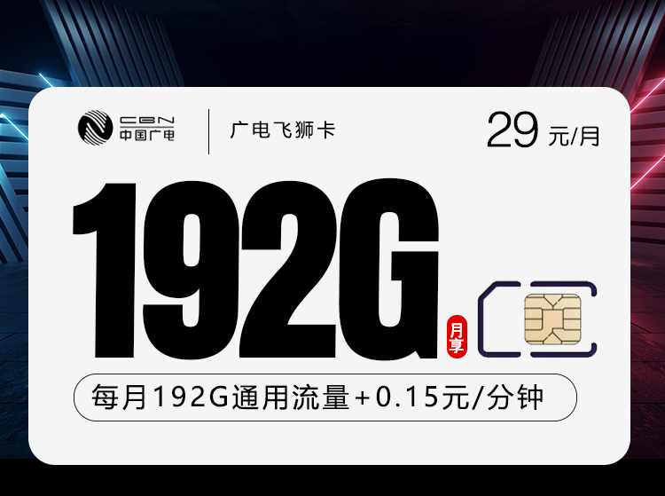 广电飞狮卡【29元192G】